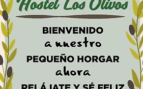 Los Olivos